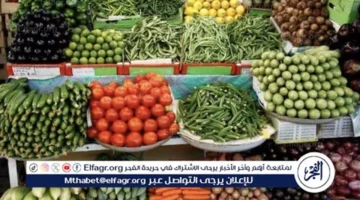 أسعار الخضروات في قنا الأحد 30-11-2025: تحديث الأسعار اليومية